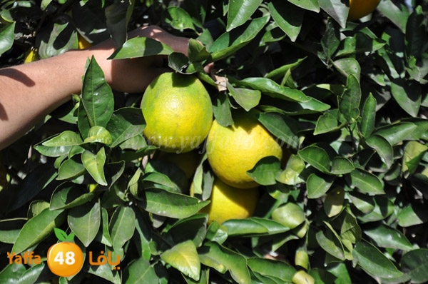 bayara visiting (7).JPG